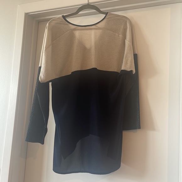 Zara V-neck Top - Picture 7 of 8